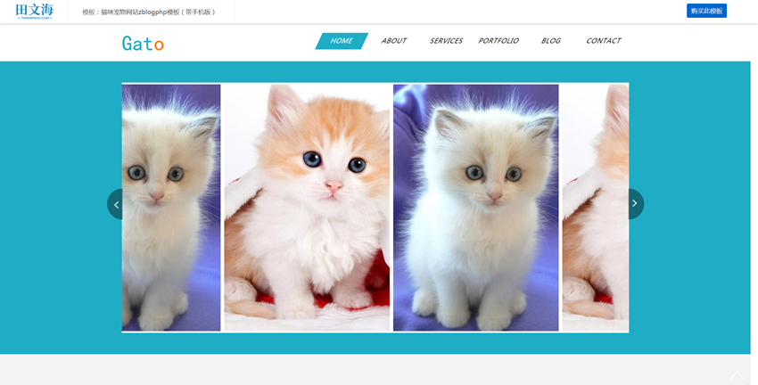 外贸企业模板：猫咪宠物网站(zblogphp模板)